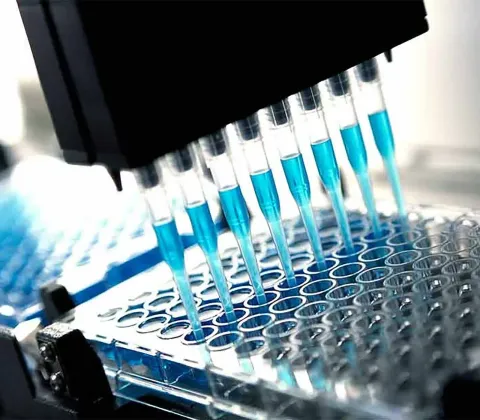 A Clear and Practical Guide to Modern Eating Patterns and Health Awareness